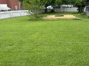 Lisa S.'s turf care service result