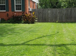 Jamillah O.'s lawn care services service result