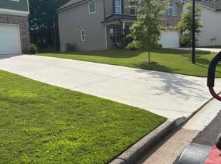 Omar C.'s landscaping service result