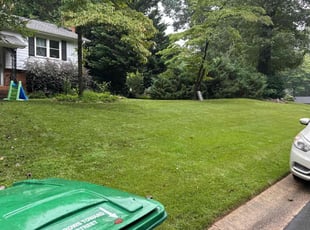 Austin B.'s grass cutting service result