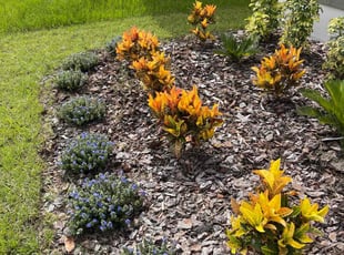 Phillip S.'s grass cutting service result