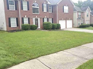 Yvonne S.'s lawn service service result