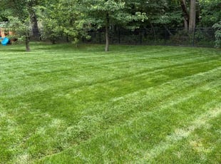 Janelle C.'s grass maintenance service result