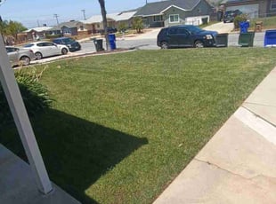 Hank I.'s lawn service service result