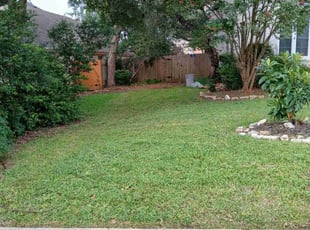 Lajuana P.'s lawn maintenance service result