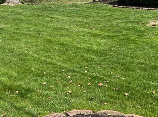 Brian S.'s lawn care services service result