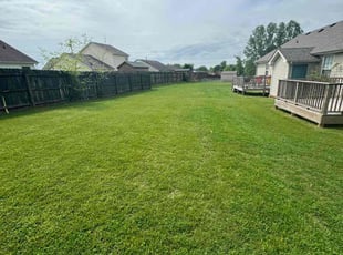 Emily H.'s lawn maintenance service result