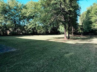 Deena P.'s lawn care services service result