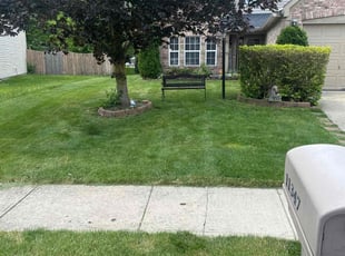 Larry S.'s lawn care service result