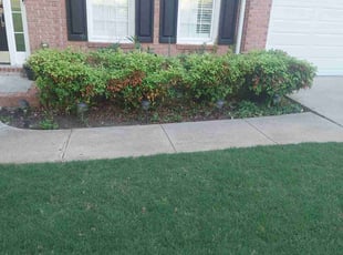 Phillip P.'s Bush Trimming service result