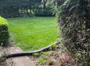 Antowan D.'s grass maintenance service result