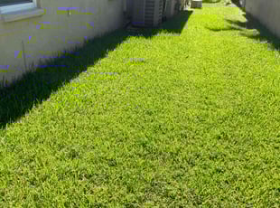 Andrew E.'s lawn care service result