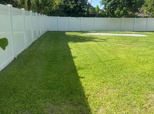 Quintara J.'s lawn service service result
