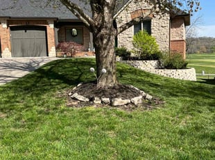 Logan T.'s turf care service result