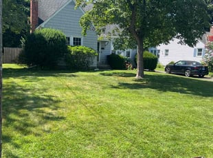 Luchanna N.'s grass maintenance service result