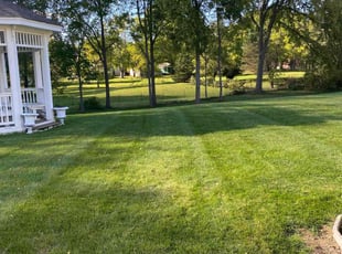 Connie H.'s lawn care services service result