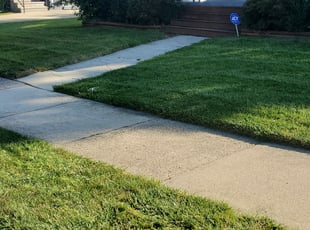Dora S.'s lawn care services service result