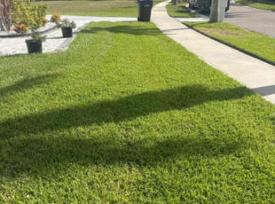 Yancy P.'s lawn maintenance service result
