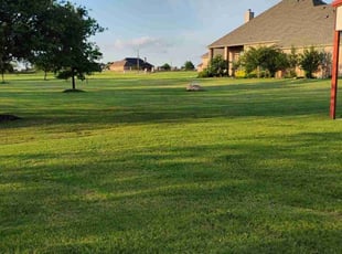 Donna T.'s grass cutting service result