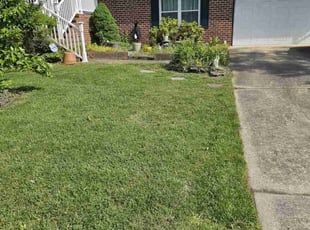 Chris M.'s turf maintenance service result
