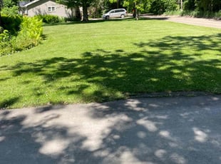 Demetrios V.'s residential landscaping service result