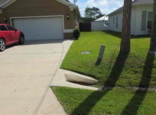 Cecial L.'s lawn service service result