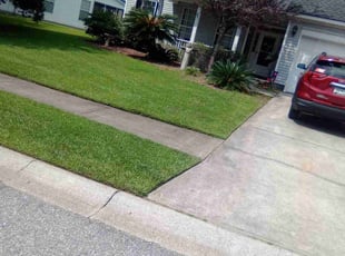 Sheri W.'s grass cutting service result