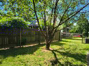 Jason C.'s turf care service result