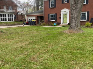 Stayce D.'s turf maintenance service result