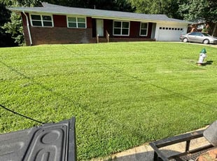 Archana B.'s lawn care service result