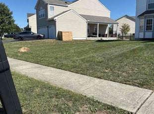 Lynell B.'s lawn care service result