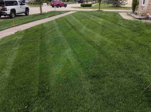 Johnetta E.'s lawn care services service result