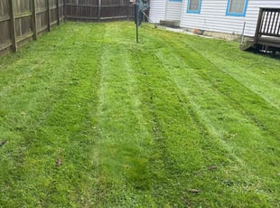 Creative V.'s lawn care service result
