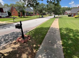 Elke H.'s turf care service result