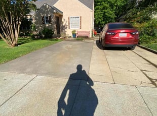 Lucille W.'s turf maintenance service result