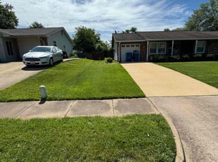 Debbie L.'s turf maintenance service result