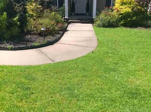 Franshonn S.'s turf maintenance service result