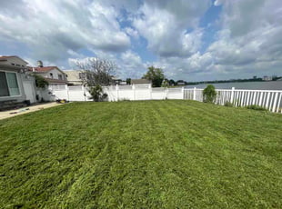 Michael O.'s Long Grass Cleanup service result