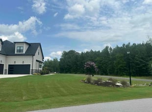 Cathy V.'s turf care service result