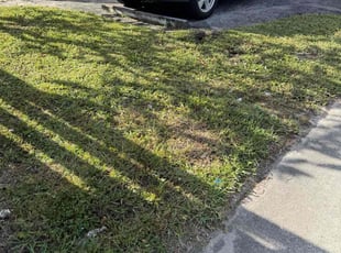 Darlene B.'s lawn service service result
