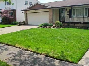 Rob S.'s turf care service result