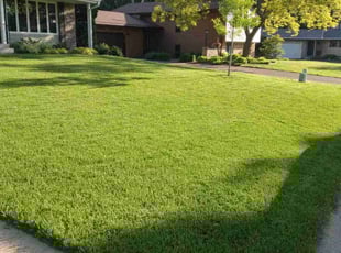 James B.'s lawn service service result