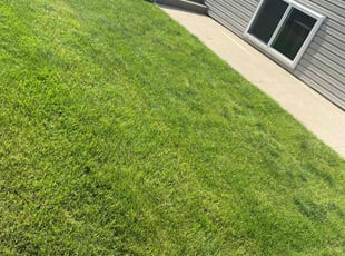 Tamala A.'s grass maintenance service result
