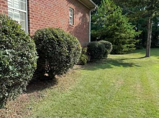 Marcellus P.'s Bush Trimming service result