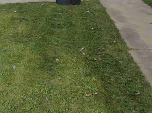 Nedda B.'s lawn care services service result