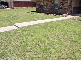 Tom B.'s lawn care service result