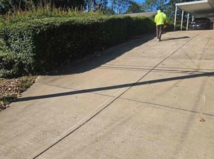 Erik T.'s Bush Trimming service result