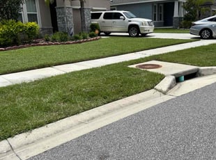 Mike D.'s grass cutting service result