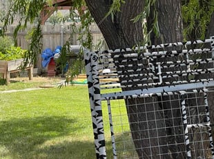 Lisa D.'s lawn care services service result