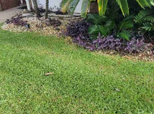 April B.'s Flower Bed Weeding service result